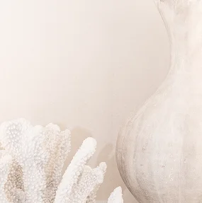 White coastal decor with coral and ceramic vase in neutral beige tones for beach-inspired home styling